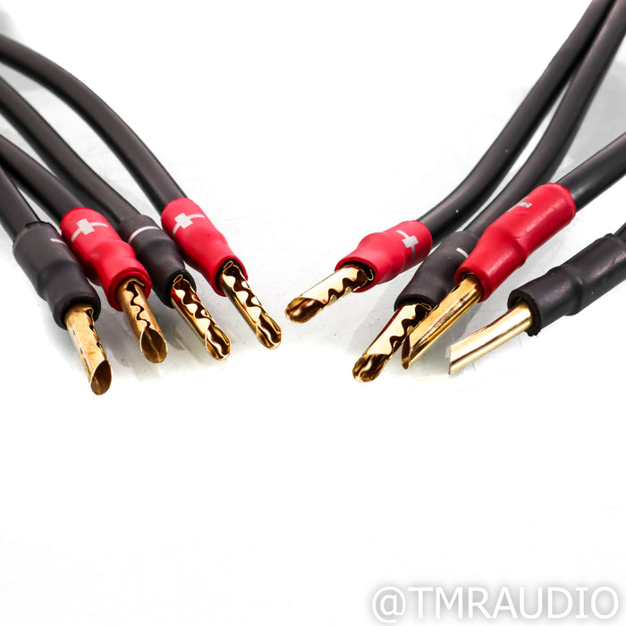 Synergistic Research Atmosphere UEF Level 4 Speaker Cable; 8ft Pair