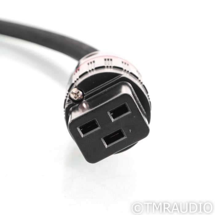 Shunyata Research Delta NR V2 Power Cable; 1.75m AC Cord; C19 20A