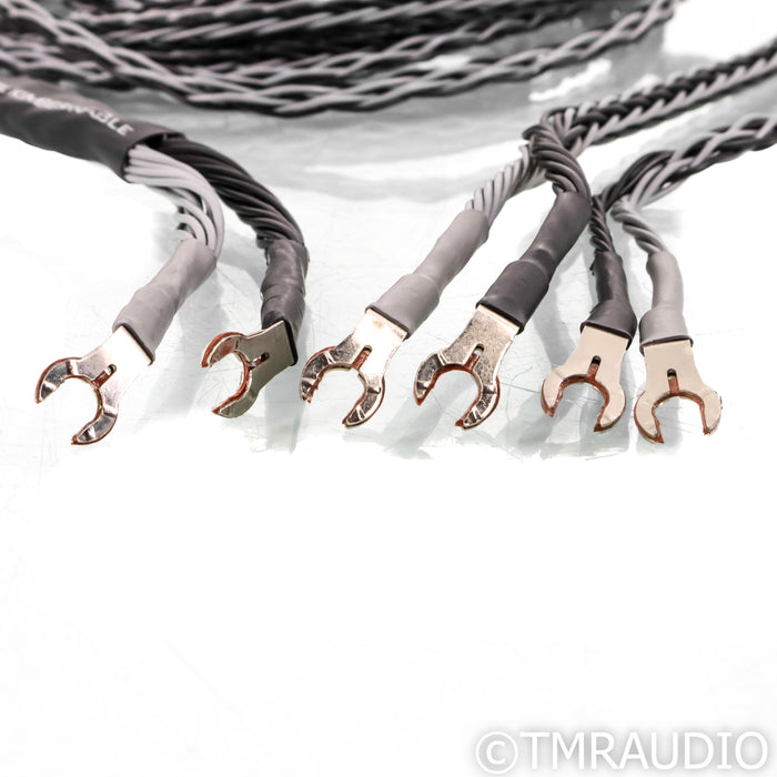 Kimber Kable 12VS Bi-Wire Speaker Cable; 12ft Single