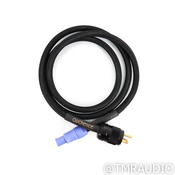 Audience Adept Response aR6 Power Conditioner