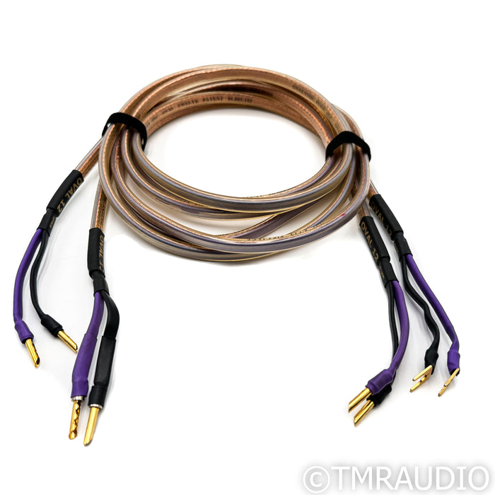 Analysis Plus Oval 12 Speaker Cables; 10 ft Pair (mis-matched terminations)