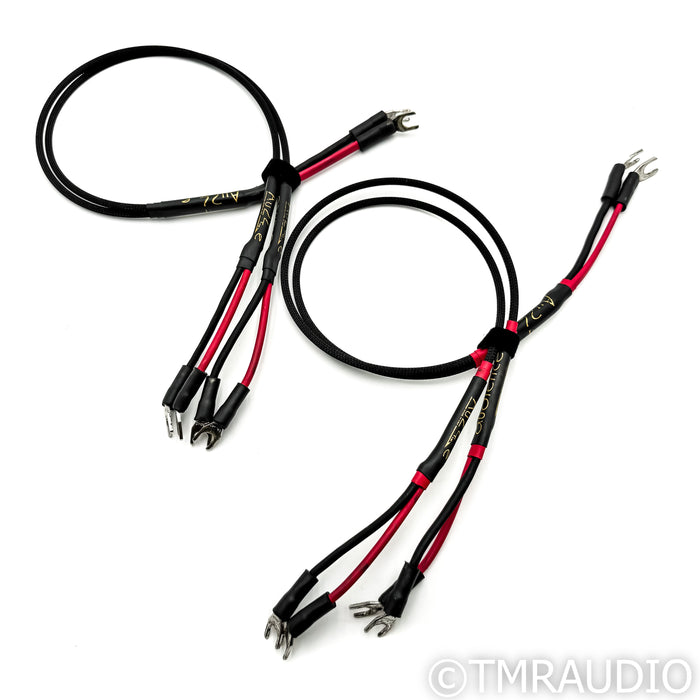 Audience AU24e Speaker Cables; 30 in Bi-Wire Pair / Jumpers