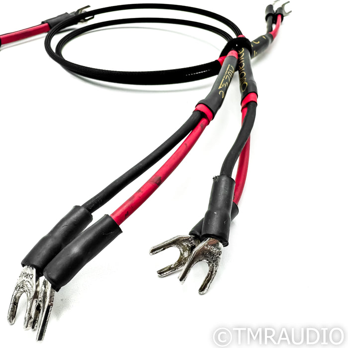 Audience AU24e Speaker Cables; 30 in Bi-Wire Pair / Jumpers