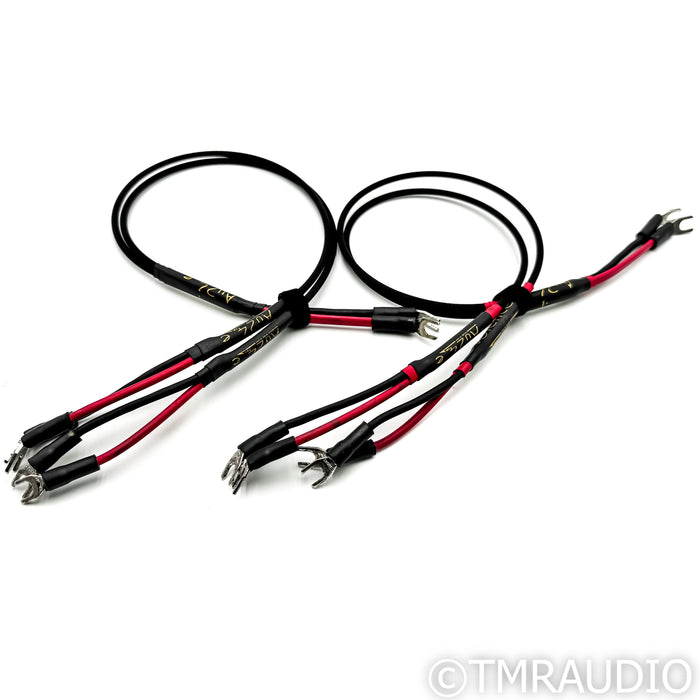 Audience AU24e Speaker Cables; 30 in Bi-Wire Pair / Jumpers