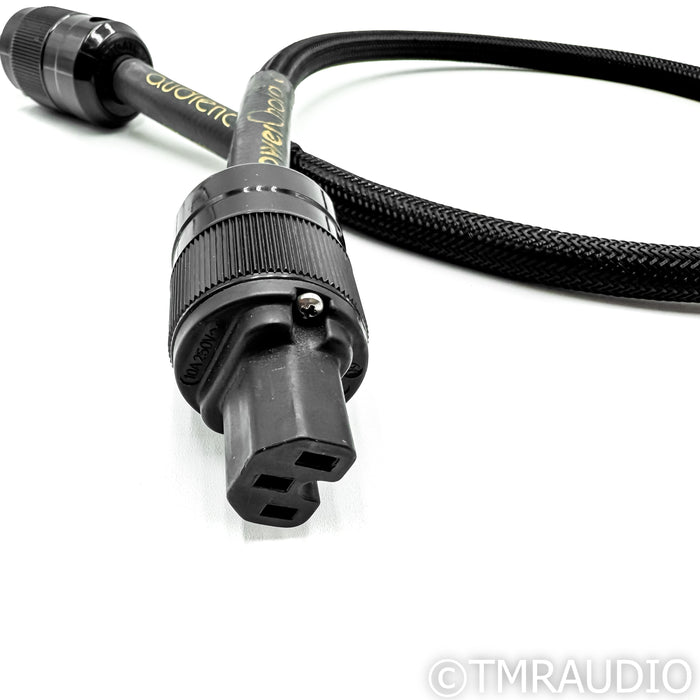 Audience powerChord e Power Cable; 3 ft. AC Cable