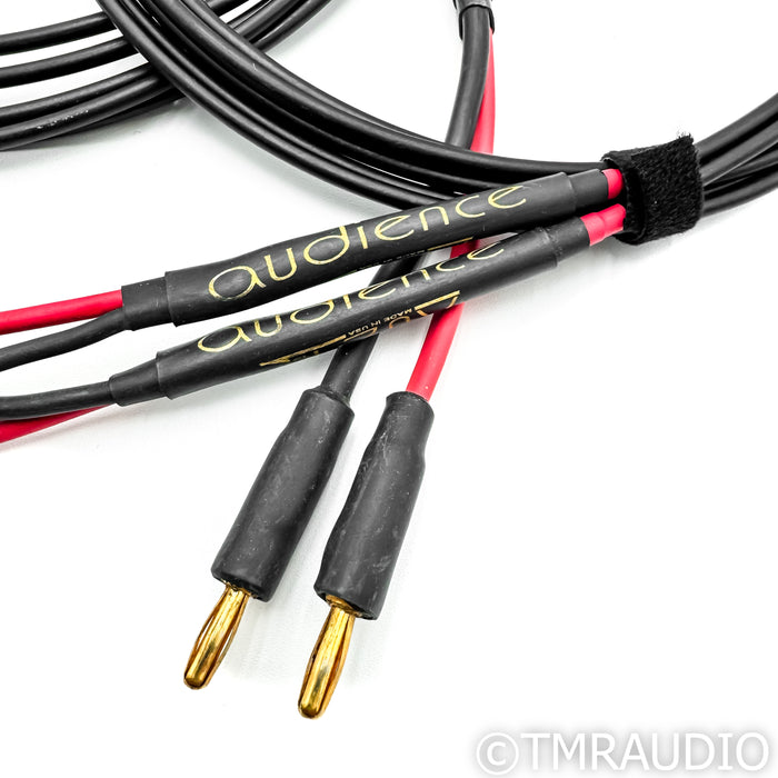 Audience Au24 Speaker Cables; 8 ft. Bi-Wire Pair w/ Banana