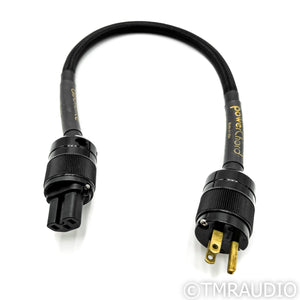 Audience powerChord Power Cable; 2 ft. AC Cord