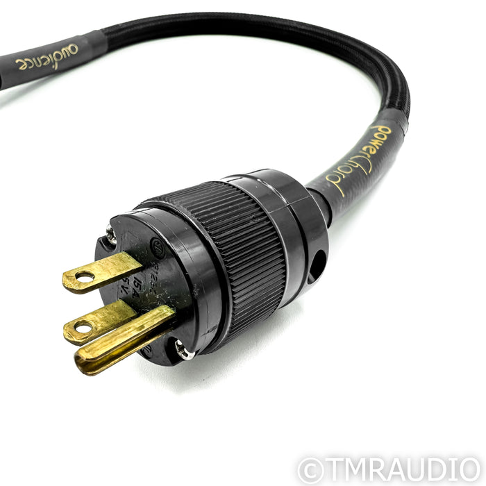 Audience powerChord Power Cable; 2 ft. AC Cord