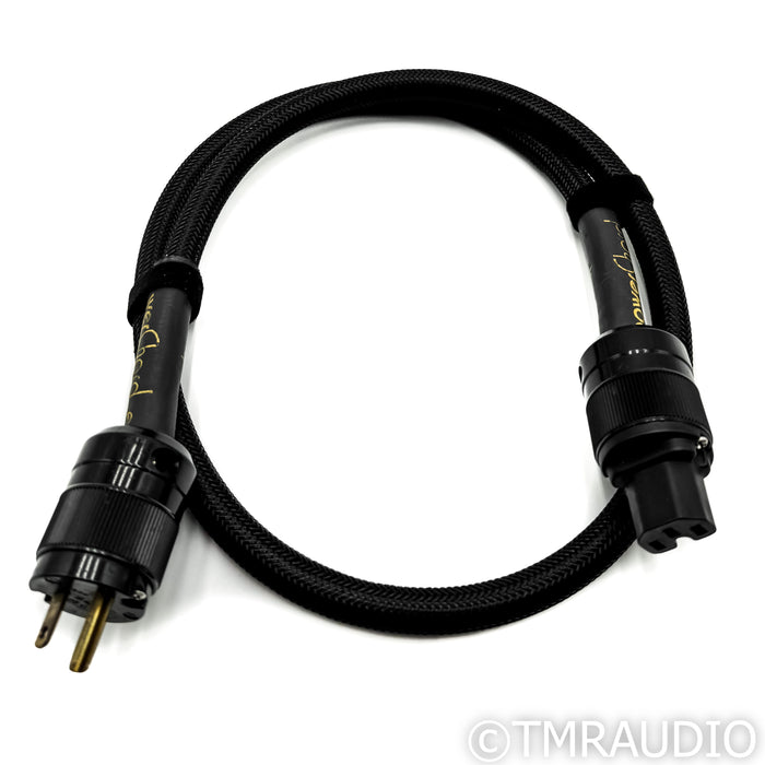Audience powerChord e Power Cable; 4 ft. AC Cord