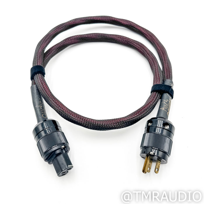 Audience Au24 powerChord; 4 ft AC Power Cable
