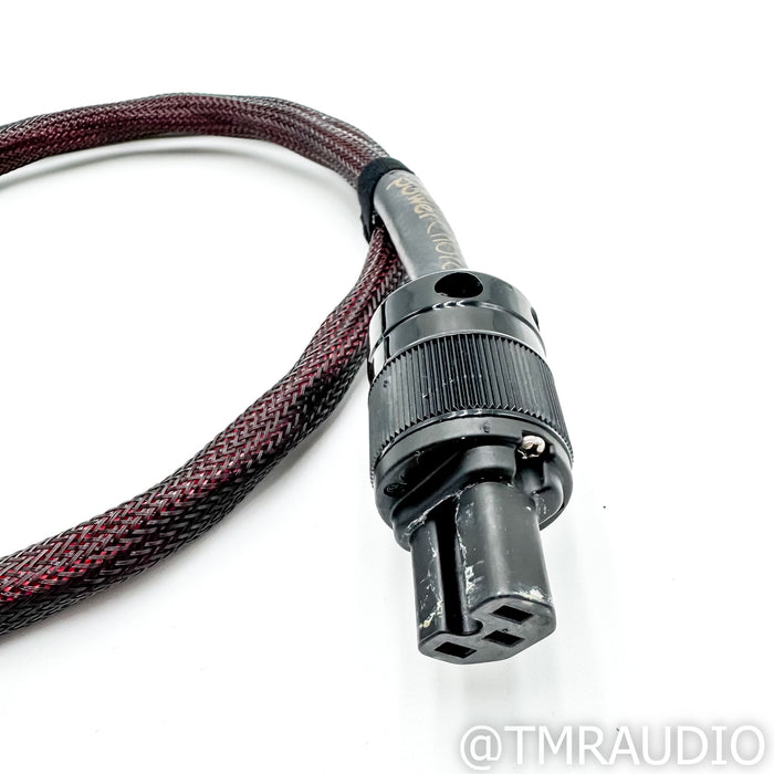 Audience Au24 powerChord; 4 ft AC Power Cable