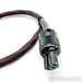 Audience Au24 powerChord; 4 ft AC Power Cable