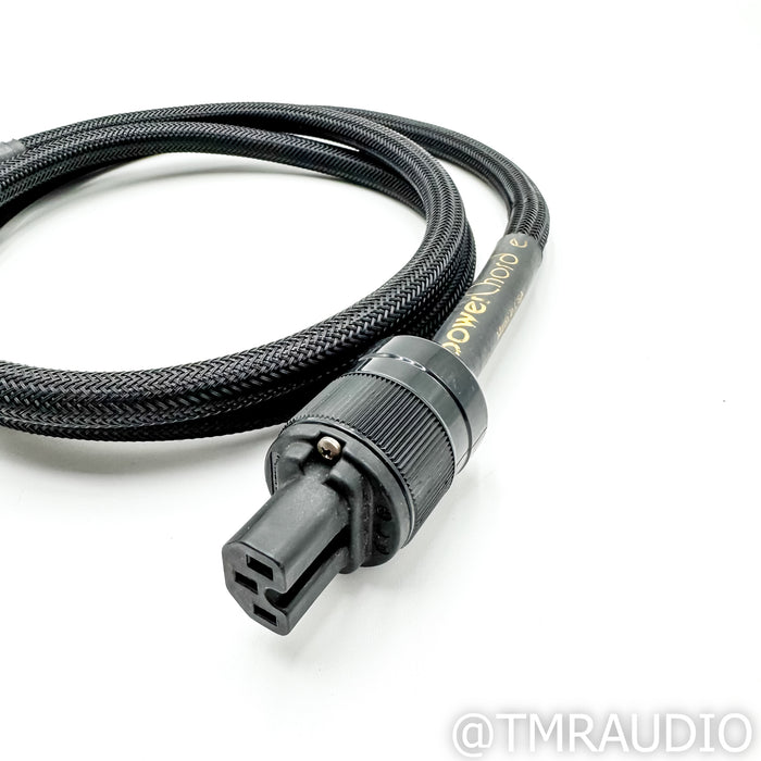 Audience powerChord e Power Cord; 6ft AC Cable