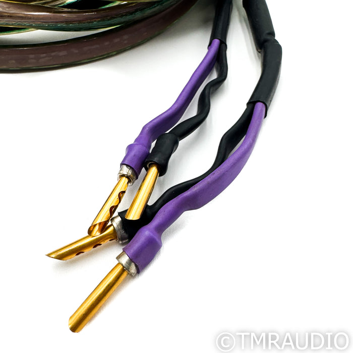 Analysis Plus Oval 12 Speaker Cables; 12 ft Pair (Archive Audio Branded)