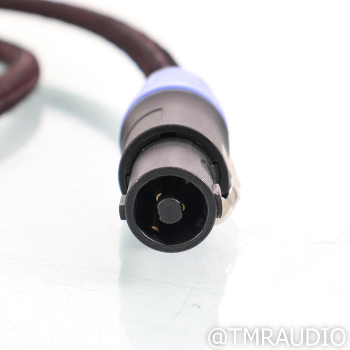 AudioQuest Type 9 REL High-Level Cable; 3m Single