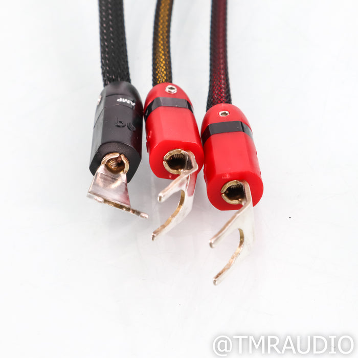 AudioQuest Type 9 REL High-Level Cable; 3m Single