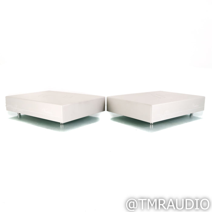 Merrill Audio Veritas Monoblock Power Amplifier; Pair