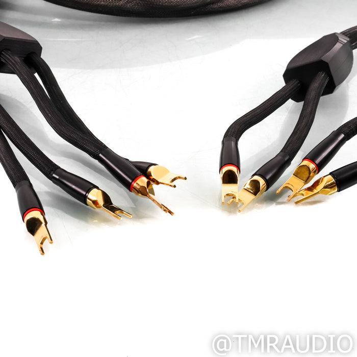 Transparent Audio Reference MM2 Speaker Cables; 15ft Pair