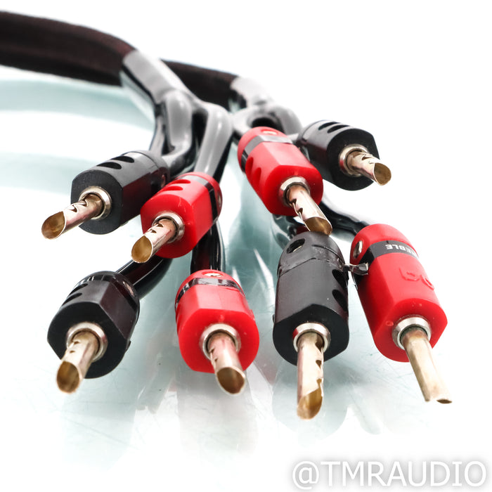 AudioQuest Rocket 33 Bi-Wire Speaker Cable; 8ft Pair