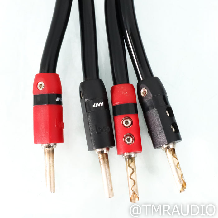 AudioQuest Rocket 33 Bi-Wire Speaker Cable; 8ft Pair