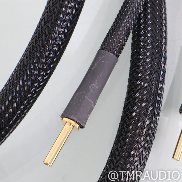 Transparent Audio Plus Speaker Cables; 10ft Pair