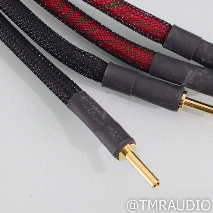 Transparent Audio Plus Speaker Cables; 10ft Pair