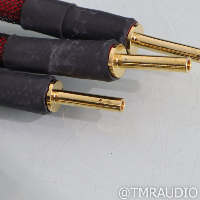 Transparent Audio Plus Speaker Cables; 10ft Pair