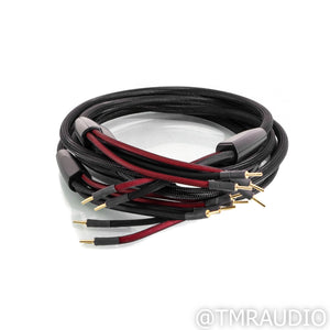 Transparent Audio Plus Speaker Cables; 10ft Pair
