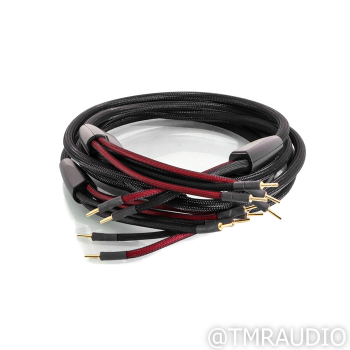 Transparent Audio Plus Speaker Cables; 10ft Pair