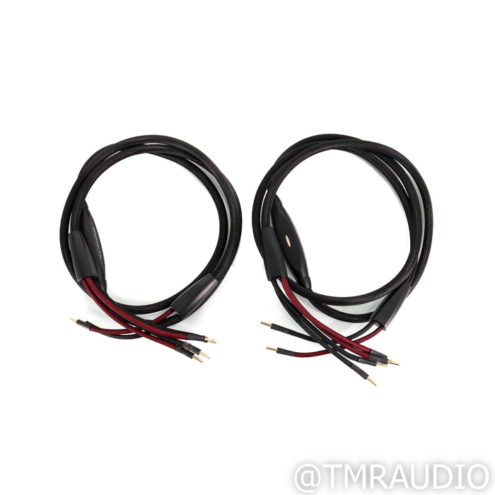 Transparent Audio Plus Speaker Cables; 10ft Pair