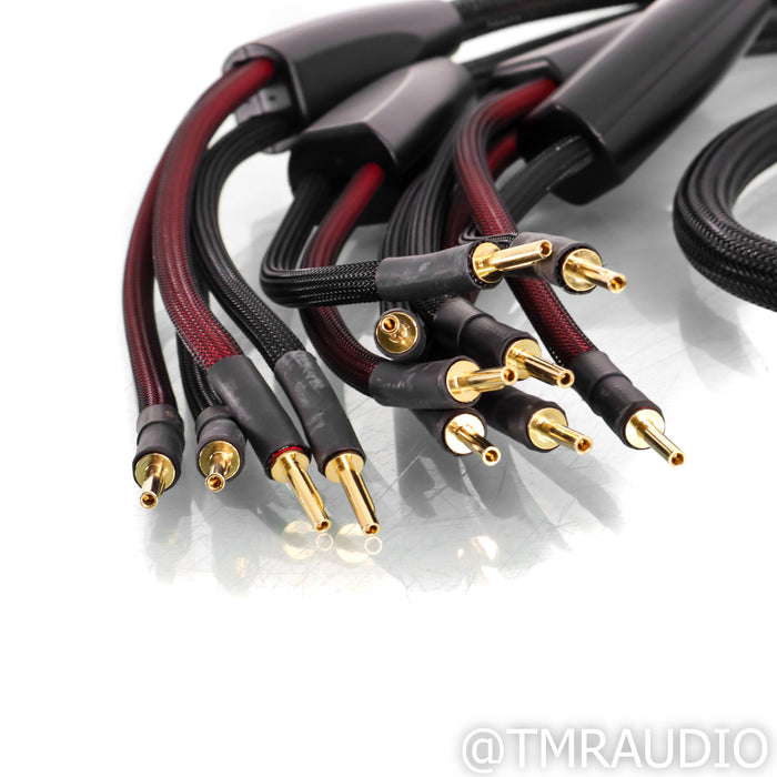 Transparent Audio Plus Speaker Cables; 10ft Pair