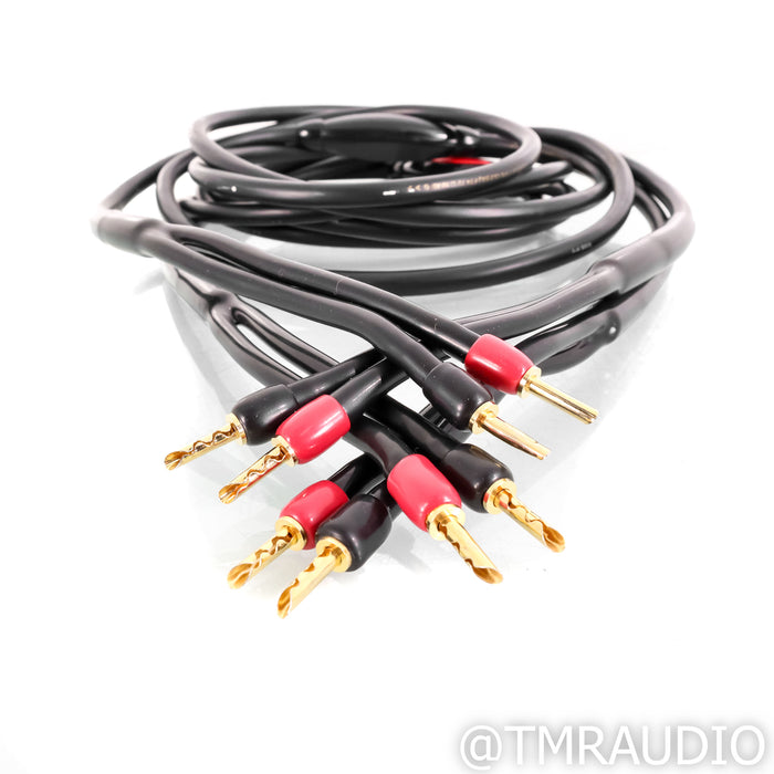 Transparent Audio MusicWave Speaker Cables; 3m Pair