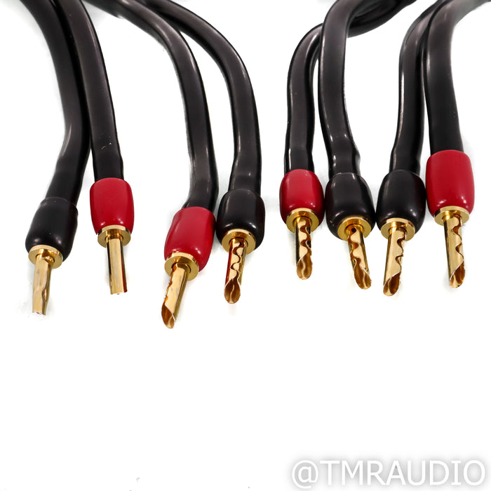 Transparent Audio MusicWave Speaker Cables; 3m Pair