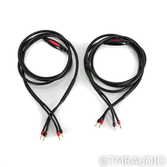 Transparent Audio MusicWave Speaker Cables; 3m Pair