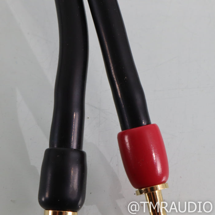 Transparent Audio MusicWave Speaker Cables; 3m Pair
