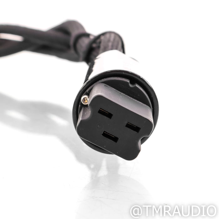 AudioQuest Dragon High Current Power Cable; 2m AC Cord; 20A