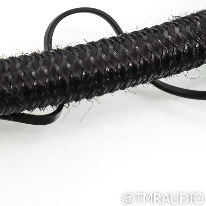 AudioQuest WEL Signature RCA Cables; 2m Pair Interconnects