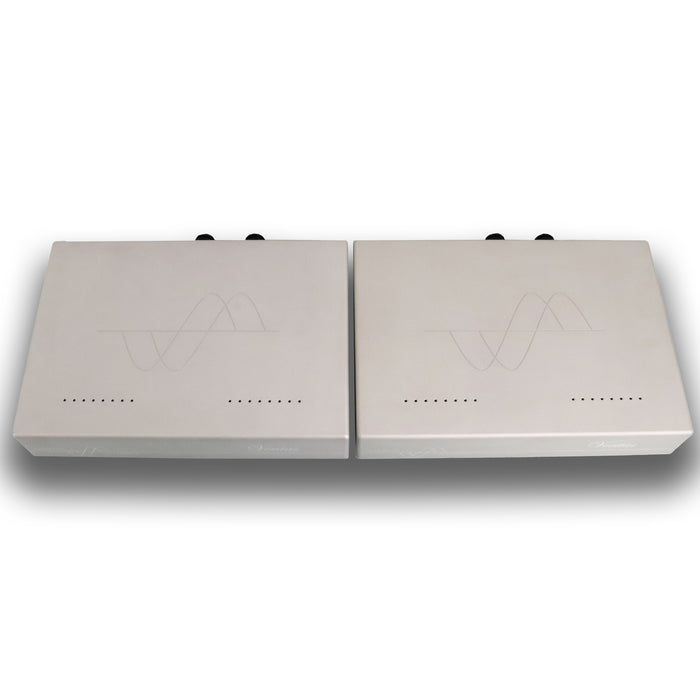Merrill Audio Veritas Monoblock Power Amplifier; Pair