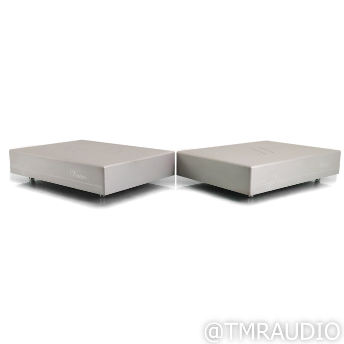 Merrill Audio Veritas Monoblock Power Amplifier; Pair