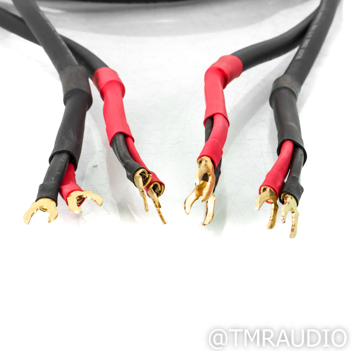 DH Labs Silver Sonic Q-10 Speaker Cables; 3m Pair