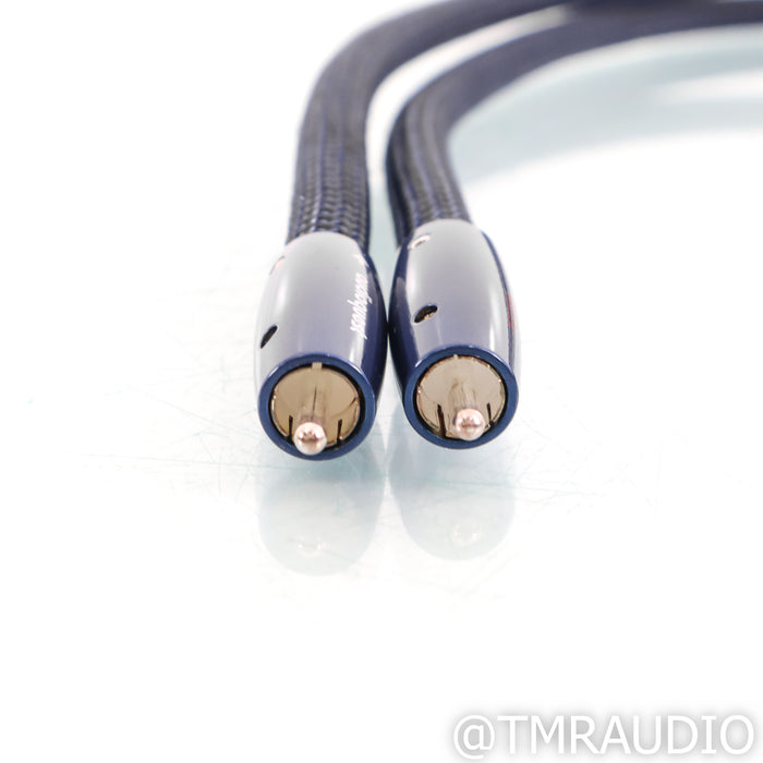 AudioQuest Water RCA Cables; 1m Pair Interconnects