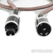 Core Power Technologies Valiant Diamond Power Cable; 6ft AC Cord