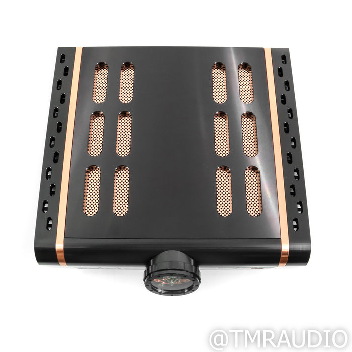 Dan D'Agostino Momentum MxV Stereo Integrated Amplifier; DAC Upgrade
