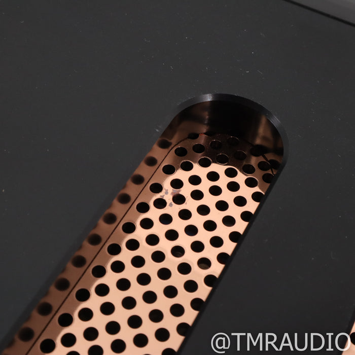 Dan D'Agostino Momentum MxV Stereo Integrated Amplifier; DAC Upgrade