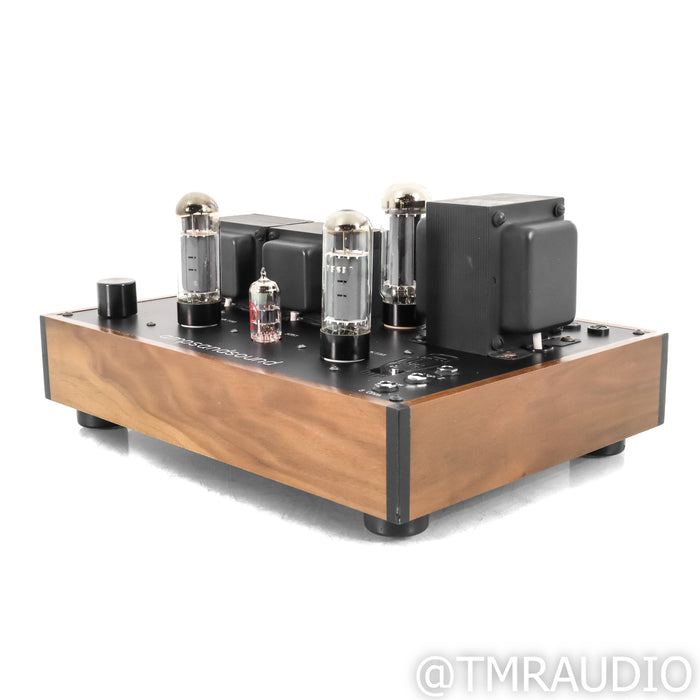 Ampsandsound Mogwai SE Rev 2 Stereo Tube Power Amplifier; Jupiter Caps