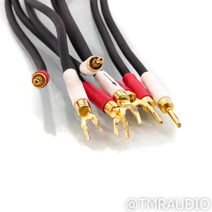Shunyata Research ZiTron Python Speaker Cables; 2m Pair