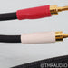 Shunyata Research ZiTron Python Speaker Cables; 2m Pair
