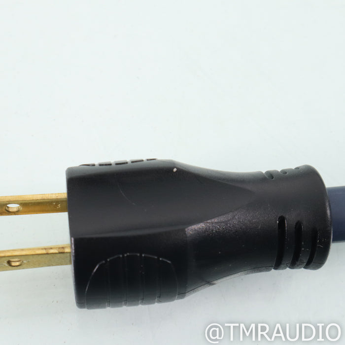 Audience forte V8 AC Power Line Conditioner w/ F3 powerChord (Open Box)