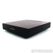 Lejonklou Tundra 2.2 Stereo Power Amplifier; Tarandus Upgrade
