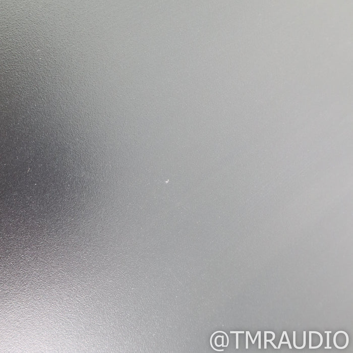 Lejonklou Tundra 2.2 Stereo Power Amplifier; Tarandus Upgrade